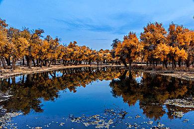 《酷极轮滑》11月28日登陆XSX 获特别好评